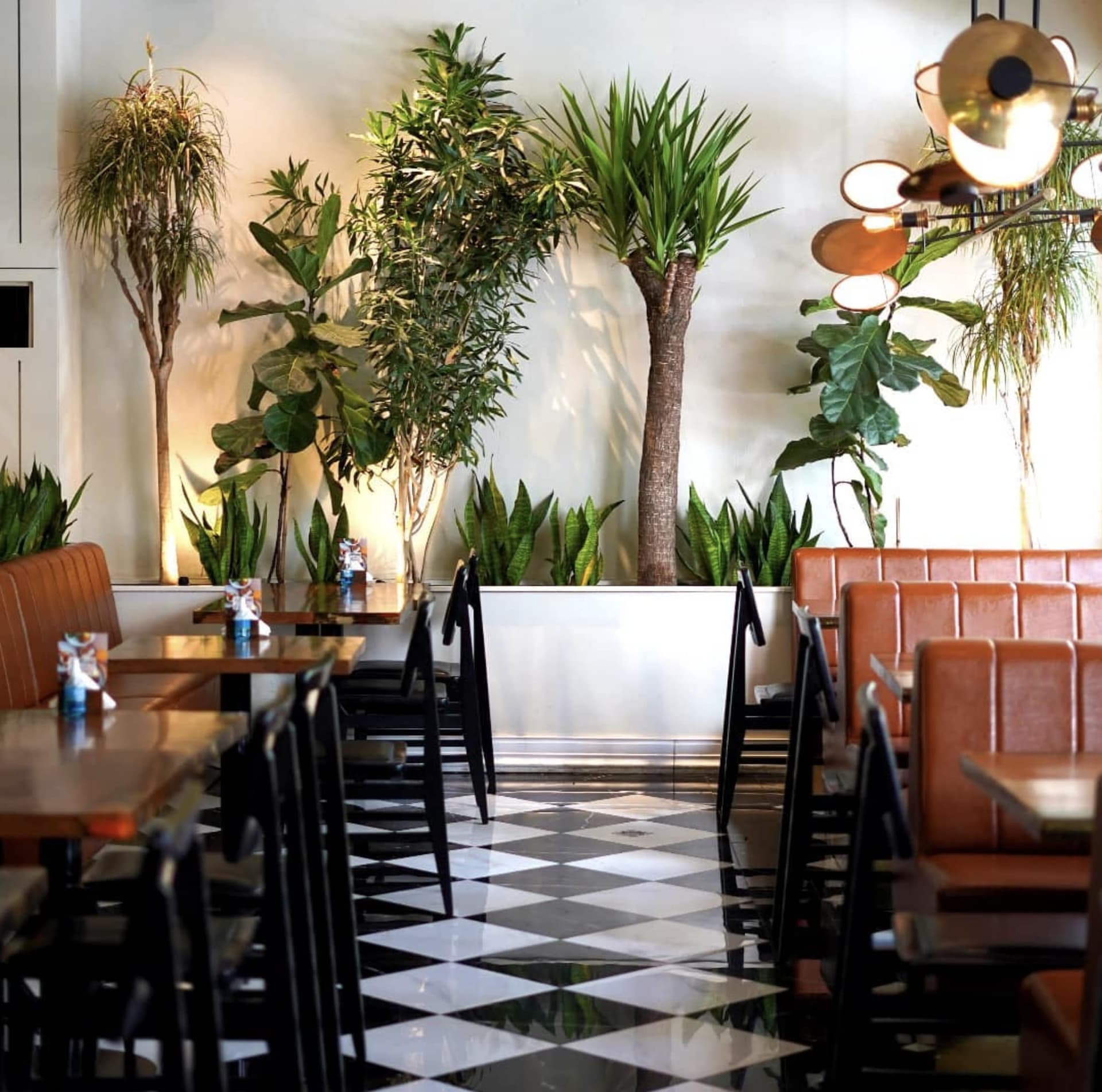 جو کافه سنایی